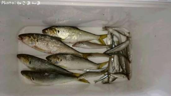 ���Υ���