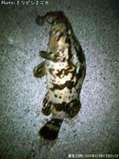 �����Υ���Х�