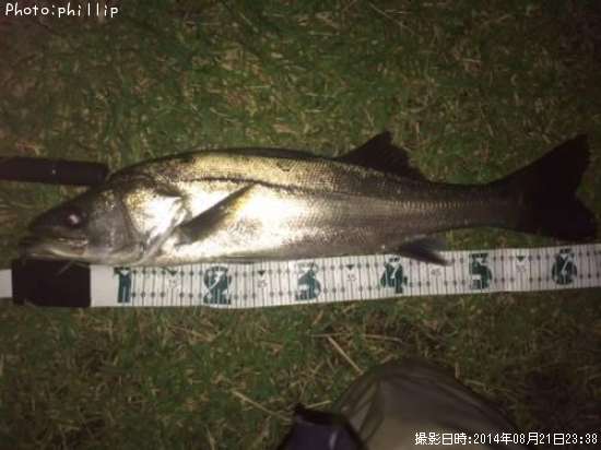 �����Х�