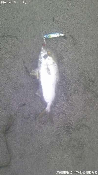 ���祴������