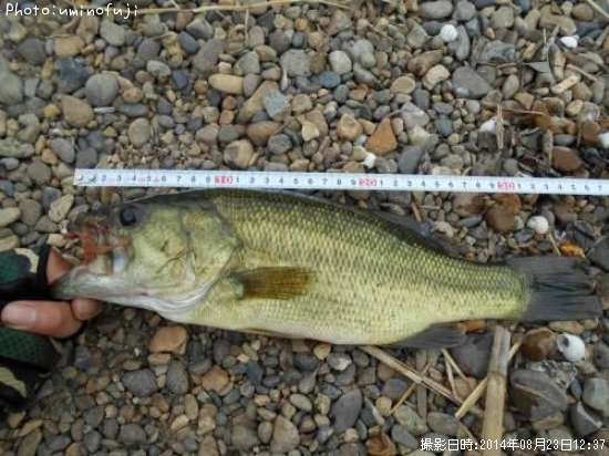 �֥�å��Х�