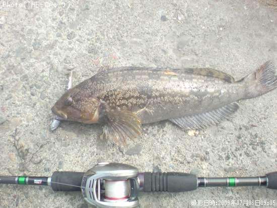 �����ʥ�