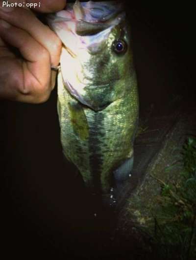 �֥�å��Х�