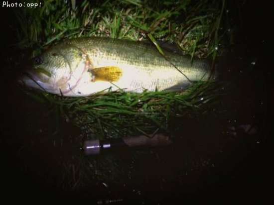 �֥�å��Х�