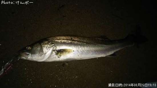 �����Х�