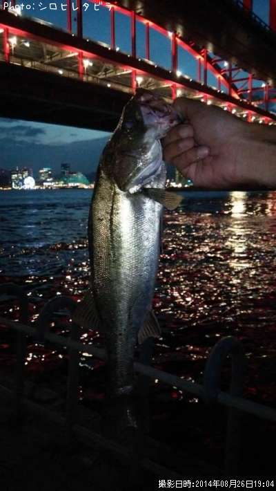 �����Х�