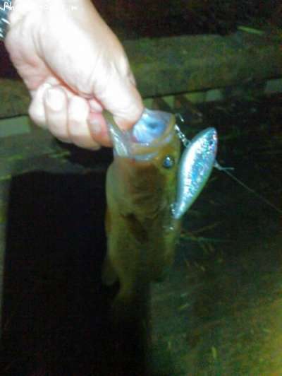 �֥�å��Х�