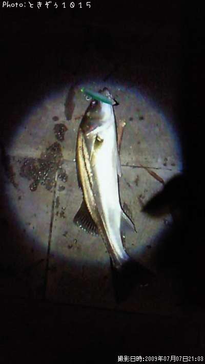 �����Х�