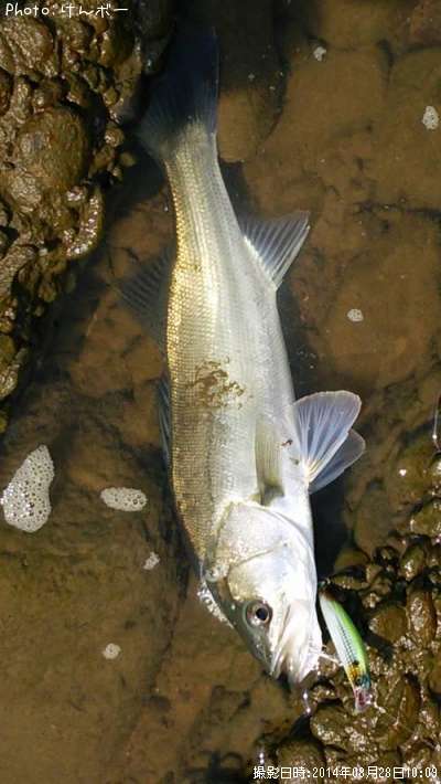 �����Х�