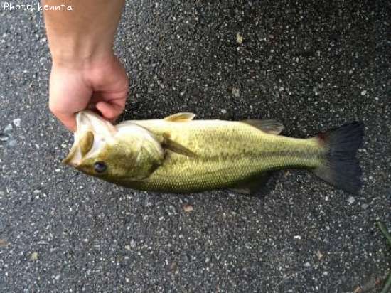 �֥�å��Х�