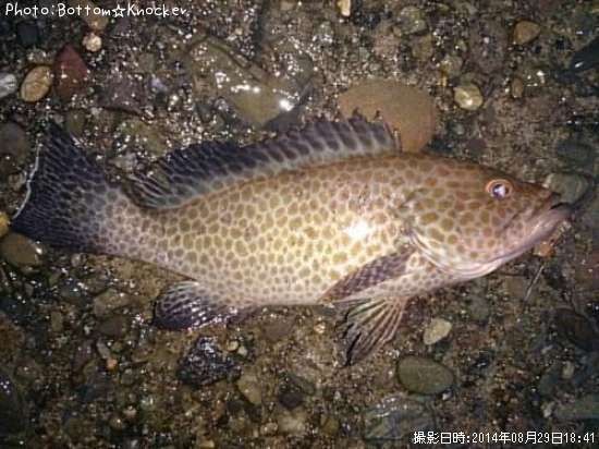 �������ϥ�