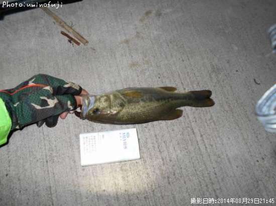 �֥�å��Х�