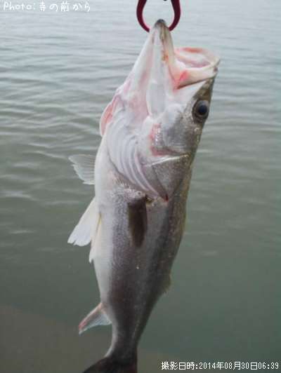 �����Х�