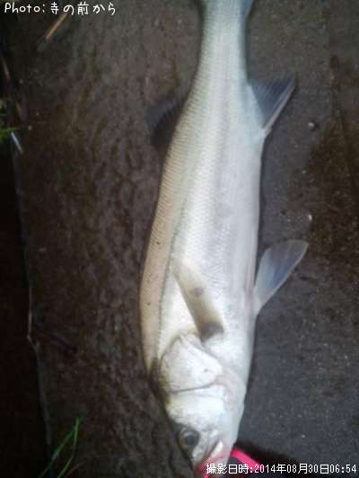 �����Х�