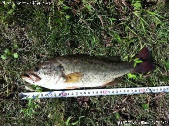 �֥�å��Х�