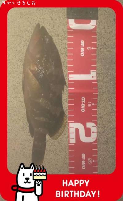 �������ϥ���