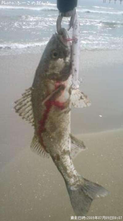 �����Х�