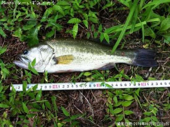 �֥�å��Х�