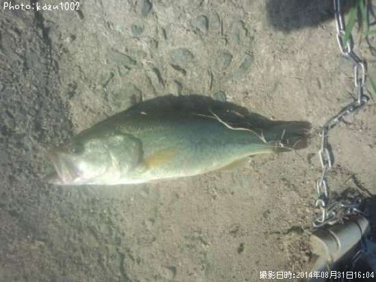 �֥�å��Х�