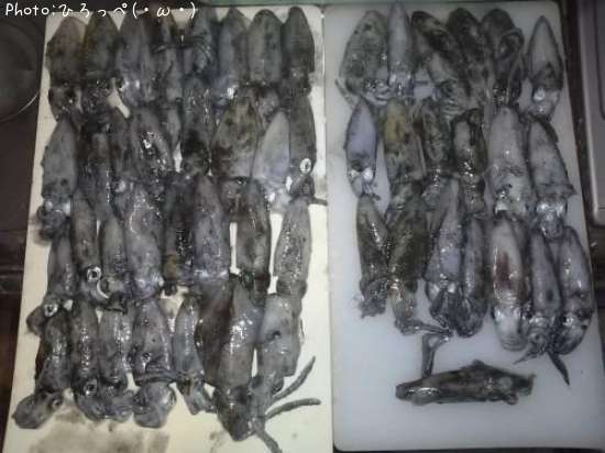 �����ꥤ��