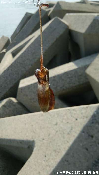 �����ꥤ��