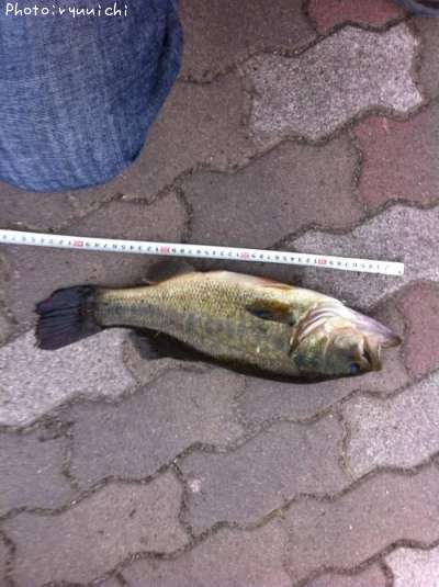 �֥�å��Х�