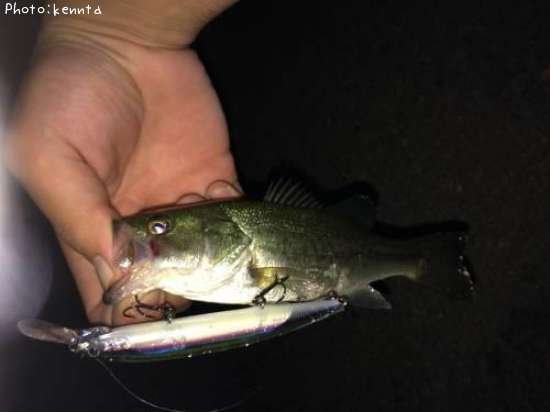 �֥�å��Х�