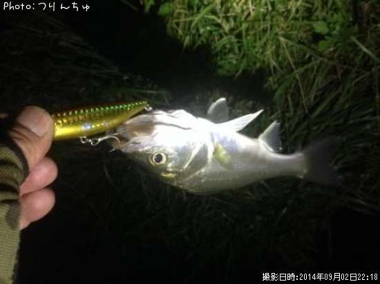 �����Х�