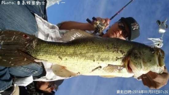 �֥�å��Х�