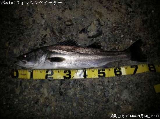 �����Х�