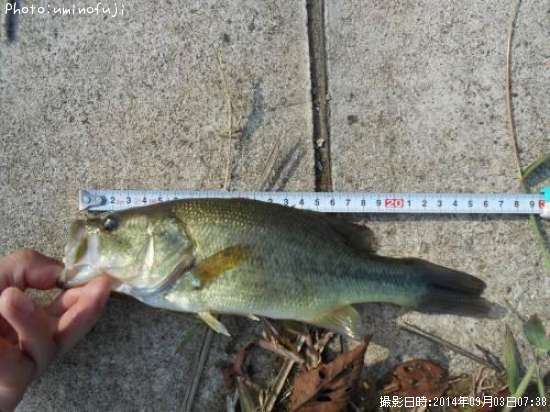 �֥�å��Х�