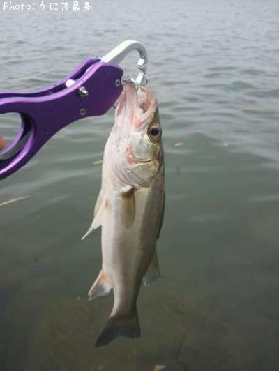 �����Х�