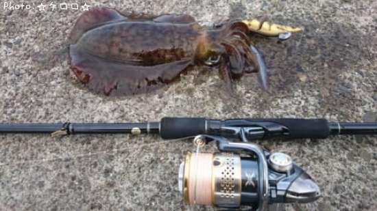 �����ꥤ��