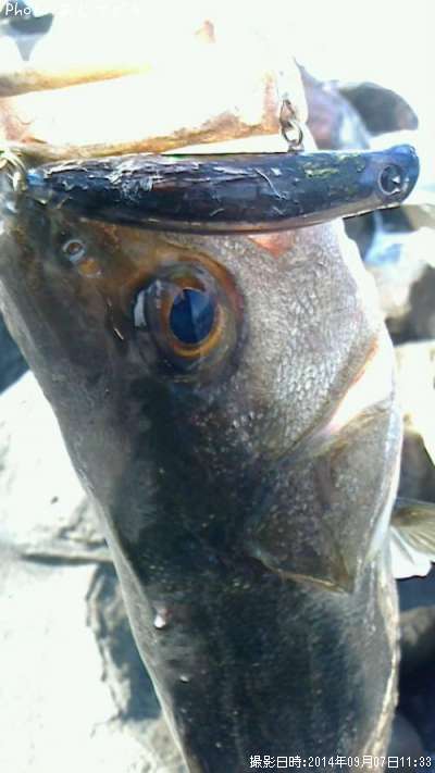 �����Х�