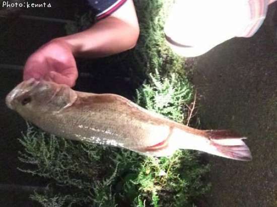 �֥�å��Х�