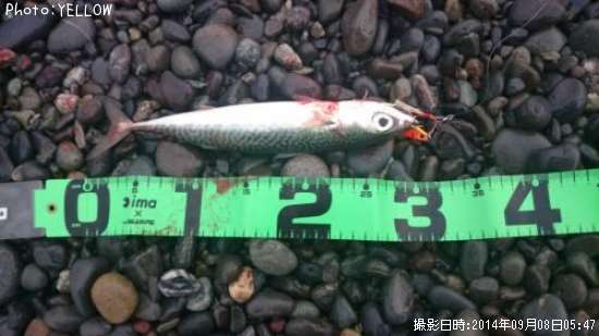 ���������ĥ�