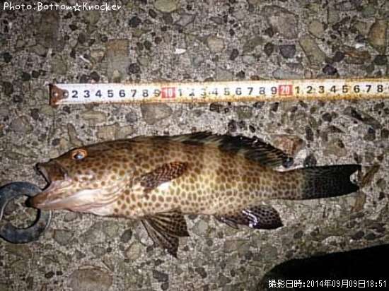 �������ϥ�