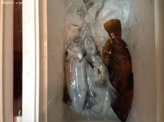 �����ϥ�