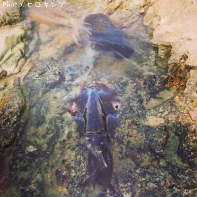 �����ꥤ��