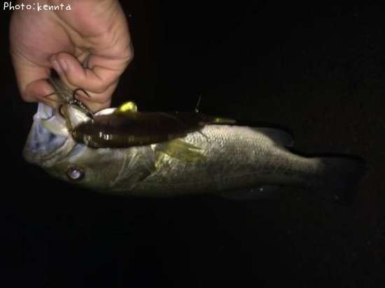 �֥�å��Х�