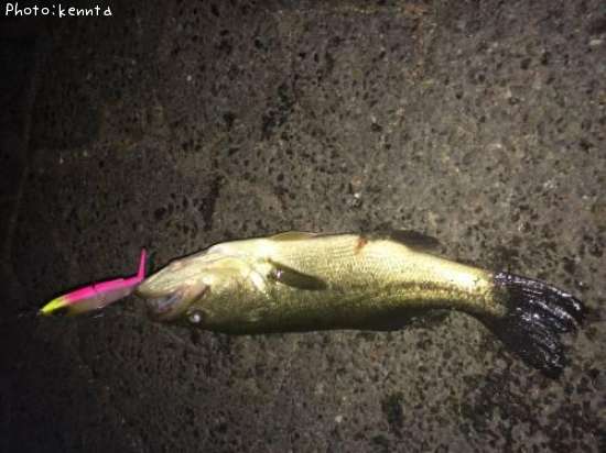 �֥�å��Х�