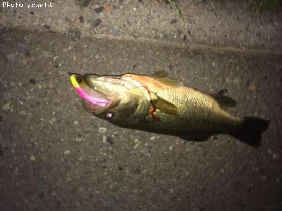 �֥�å��Х�