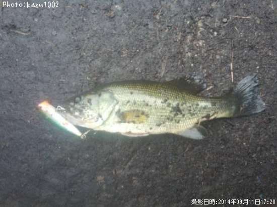 �֥�å��Х�