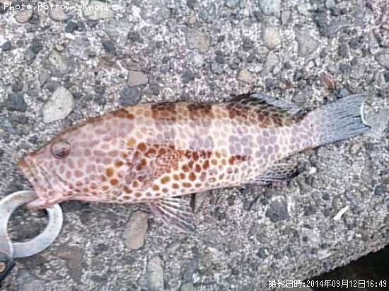 �������ϥ�