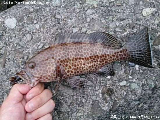 �������ϥ�