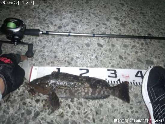 �����ʥ�