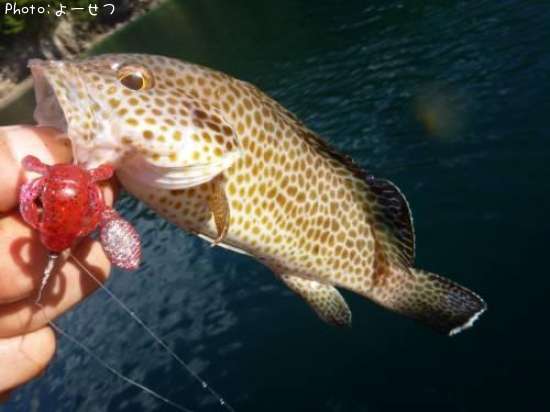 �������ϥ�