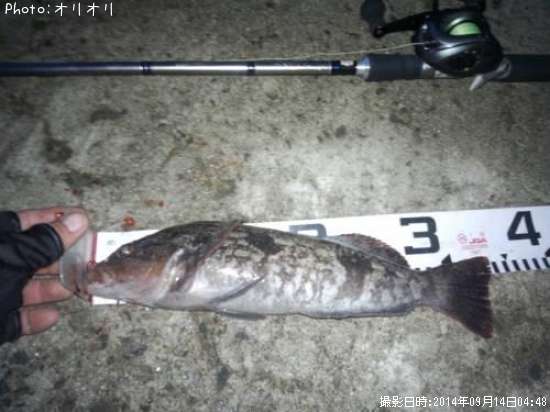 �����ʥ�