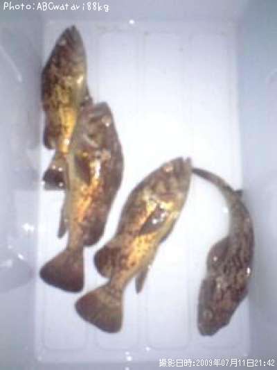 �����Υ���Х�