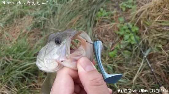 �֥�å��Х�